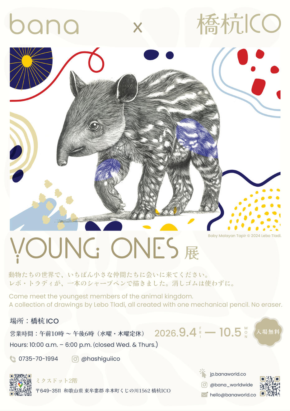 Baby Malayan Tapir