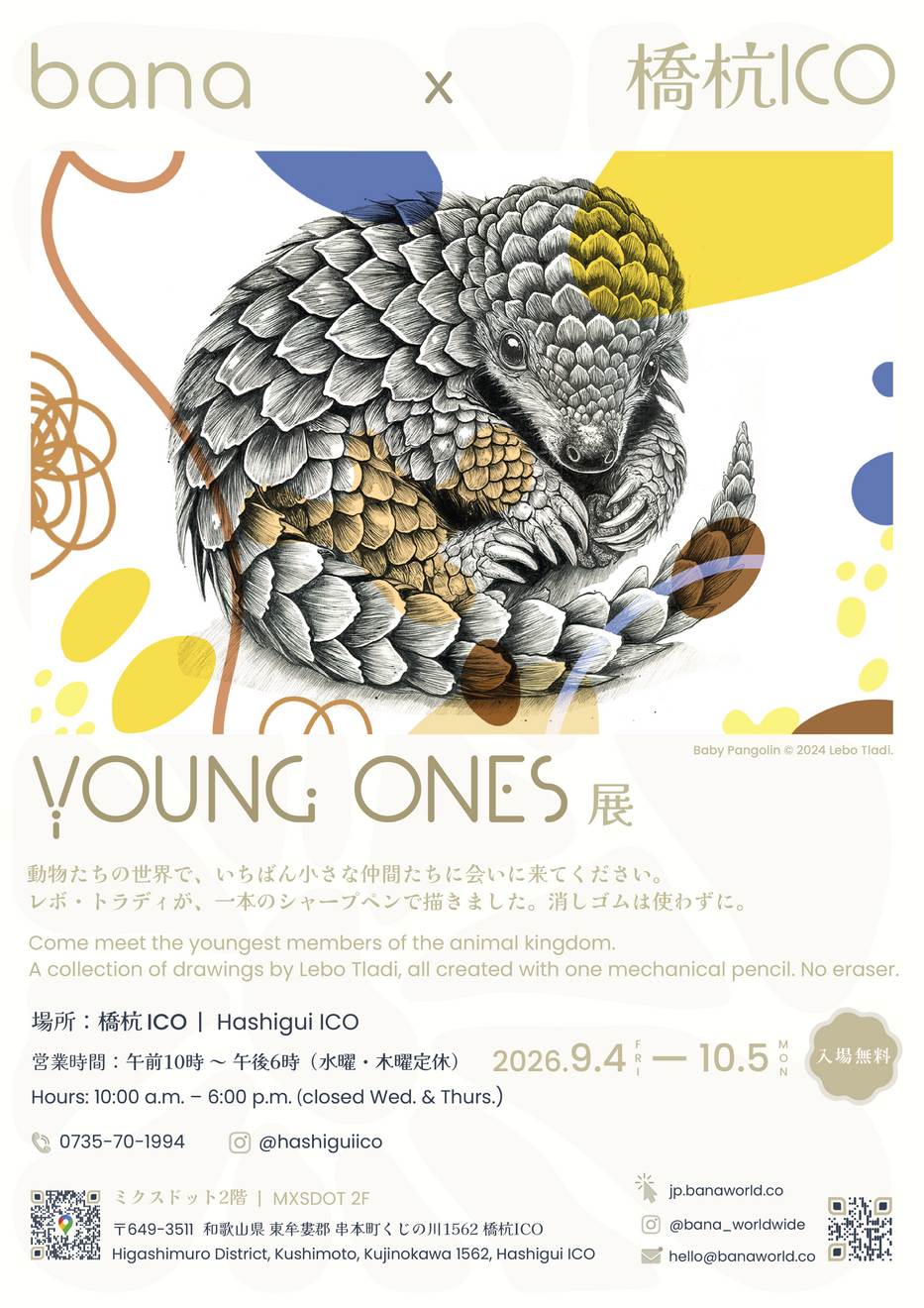 Baby Pangolin