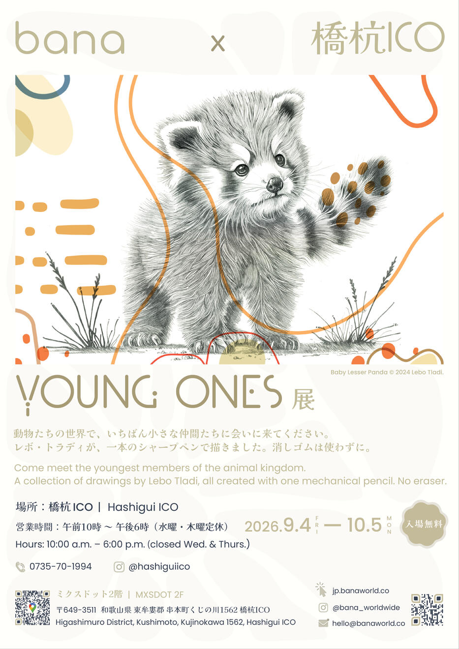 Baby Lesser Panda